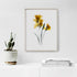 Yellow Freesia Floral Art Print